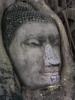 Buddha Head